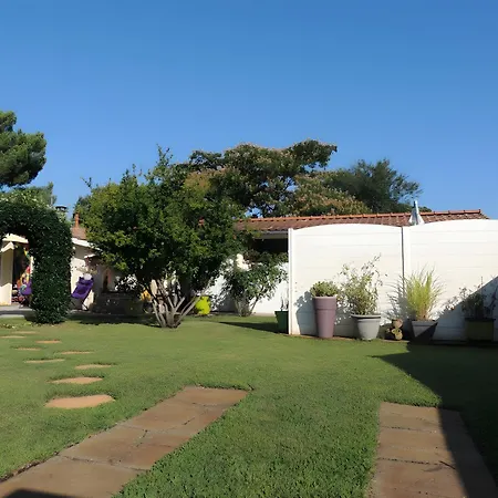 Sweet - Gujan-Mestras