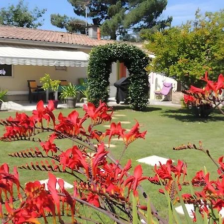 Holiday home Sweet - Gujan-Mestras